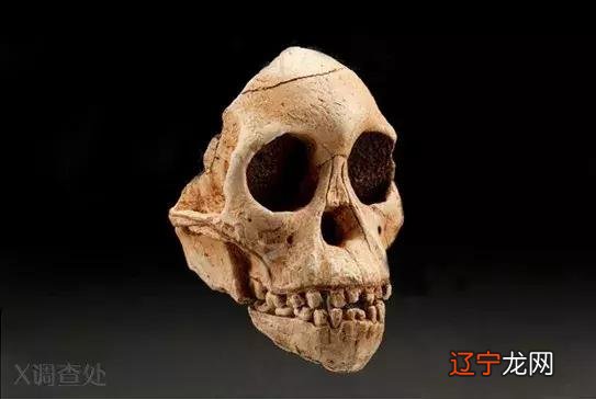 未解之谜大全-未解之谜大全诡异