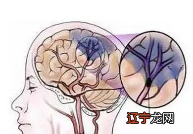 交感神经的作用抑制兴奋的有效药物