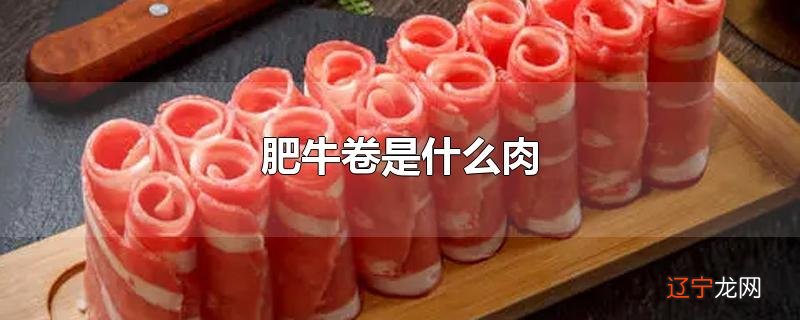 肥牛卷是什么肉