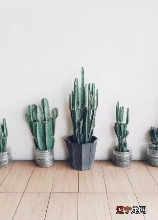 财神节是哪一天2019-每年财神节是哪一天