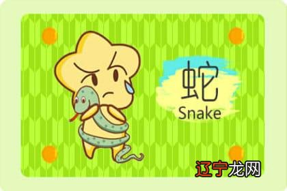 1977年属蛇的和什么属相最配 1977年属相是属什么的