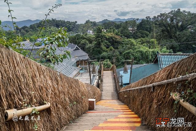 基诺族建筑 基诺族舞蹈