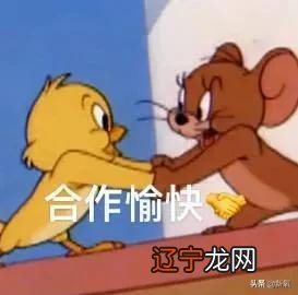 紫微星算命-天降紫微星是什么意思