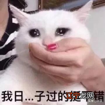 紫微星算命-天降紫微星是什么意思