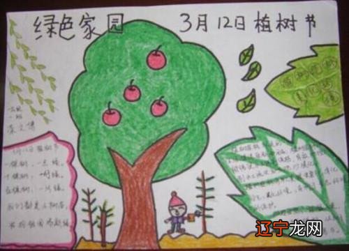 3 12植树节-312植树节手抄报