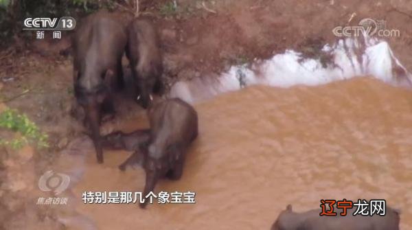 5月24日-5月24日是什么日子