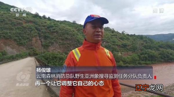 5月24日-5月24日是什么日子