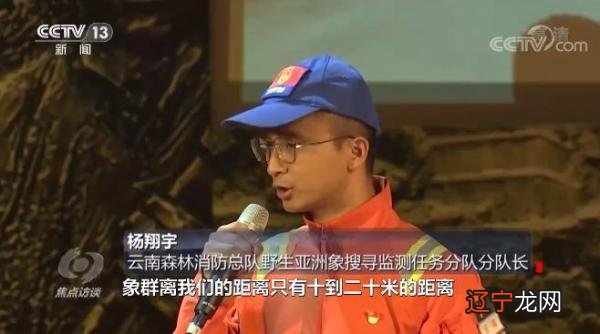 5月24日-5月24日是什么日子