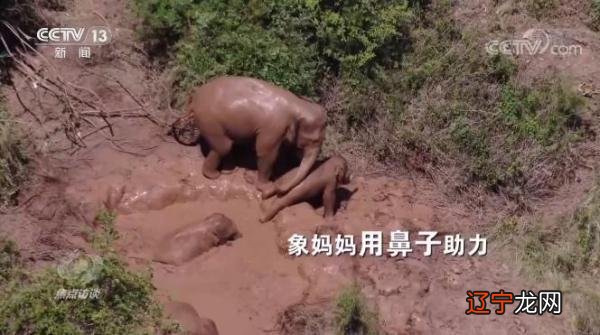 5月24日-5月24日是什么日子