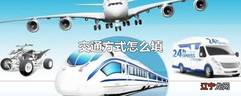 交通方式怎么填