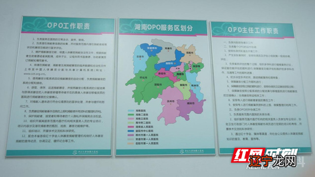 人体器官捐献协调员:生命“摆渡人”等待“上岸”