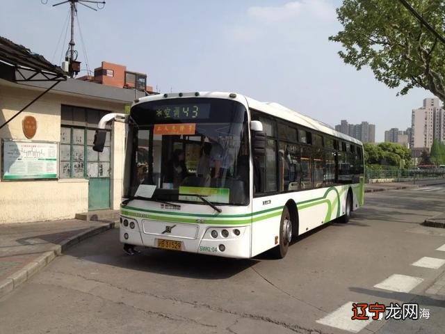 属马1978年43走大运-属马1978年43走大运属侯的2004年6月20出生