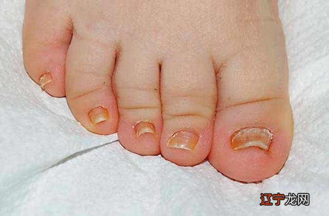 2016年10月2日-2016年10月2日出生的宝宝