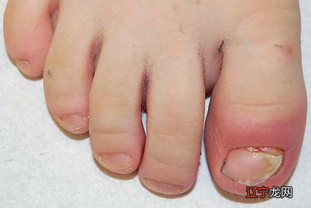 2016年10月2日-2016年10月2日出生的宝宝