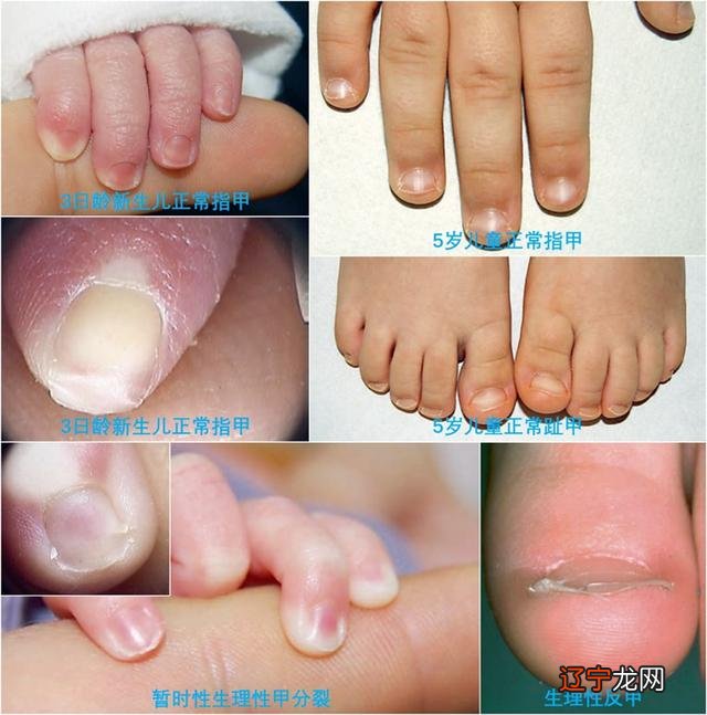 2016年10月2日-2016年10月2日出生的宝宝