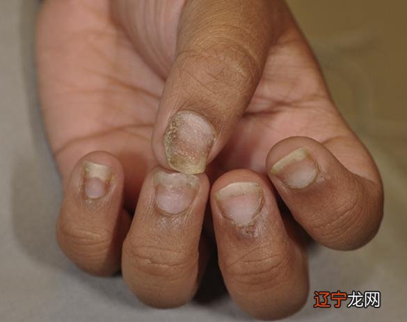 2016年10月2日-2016年10月2日出生的宝宝