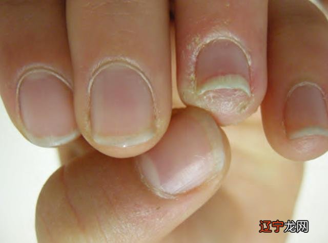 2016年10月2日-2016年10月2日出生的宝宝