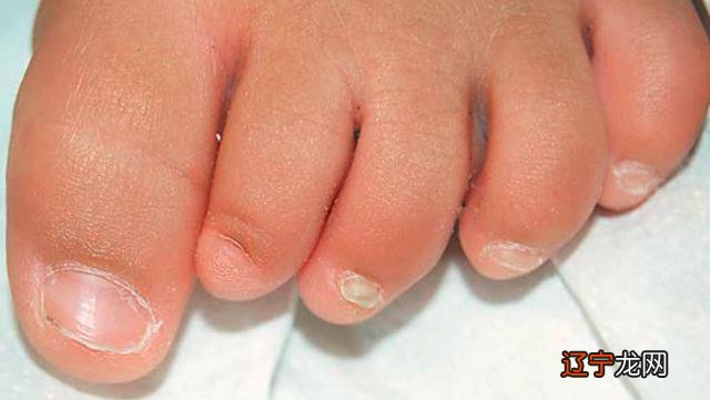 2016年10月2日-2016年10月2日出生的宝宝