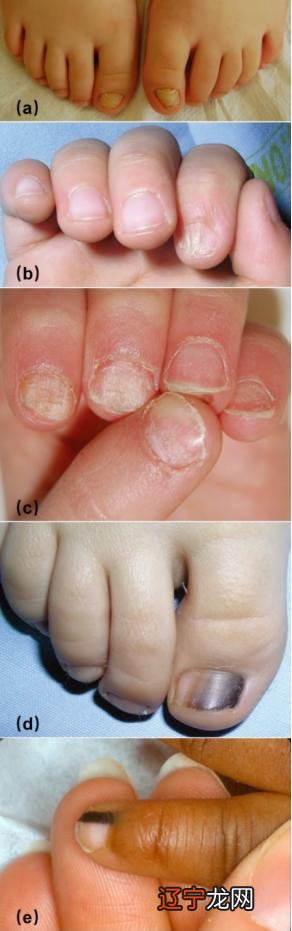 2016年10月2日-2016年10月2日出生的宝宝