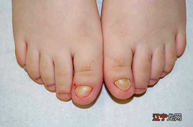 2016年10月2日-2016年10月2日出生的宝宝