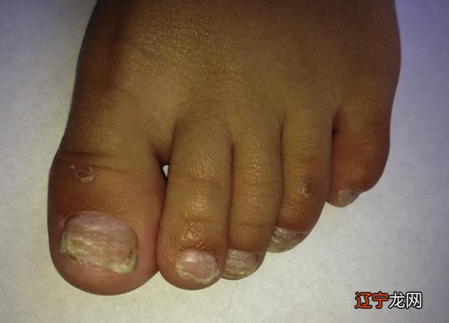 2016年10月2日-2016年10月2日出生的宝宝