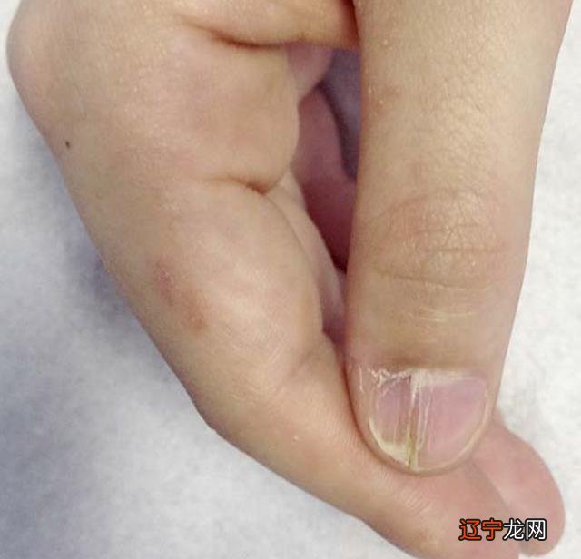 2016年10月2日-2016年10月2日出生的宝宝