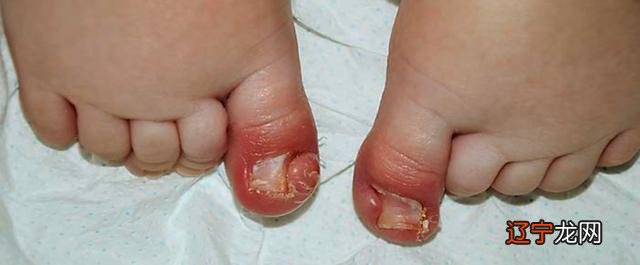 2016年10月2日-2016年10月2日出生的宝宝