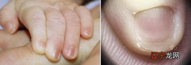 2016年10月2日-2016年10月2日出生的宝宝