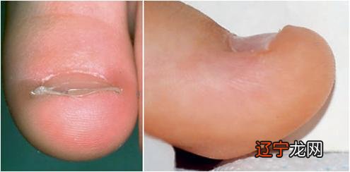 2016年10月2日-2016年10月2日出生的宝宝