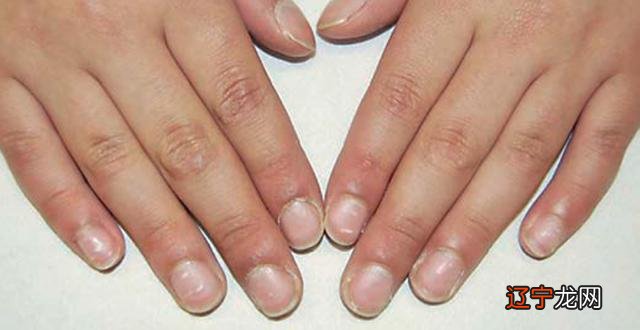 2016年10月2日-2016年10月2日出生的宝宝