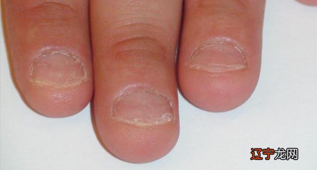 2016年10月2日-2016年10月2日出生的宝宝