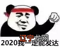 2020年生肖运程 麦玲玲2020年十二生肖运程