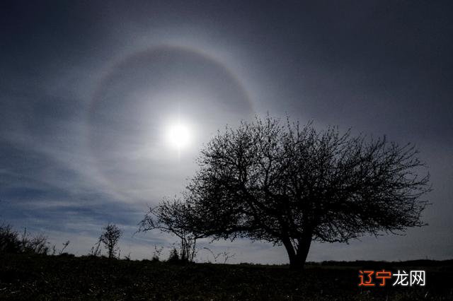 晕大自然的天气预告图 晕是什么天气现象