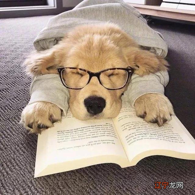 金牛座性格-金牛座性格描述