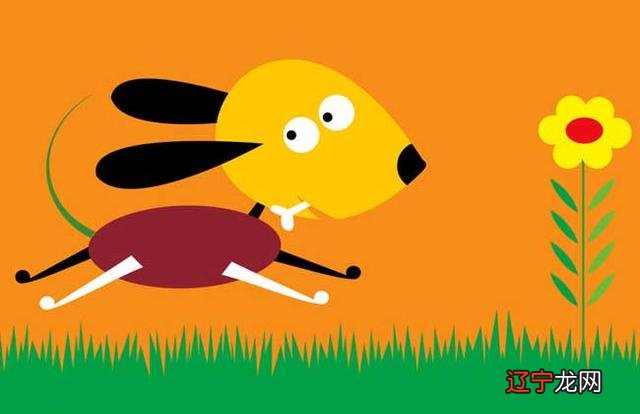 十二生肖牛的婚姻配对 十二生肖的配对婚姻