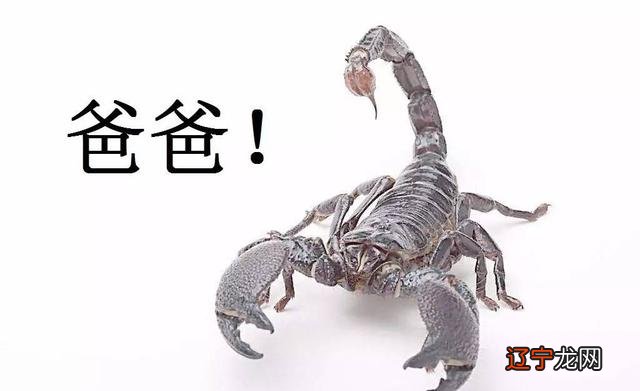 十二星座谁是老大排名-十二星座老大排行榜