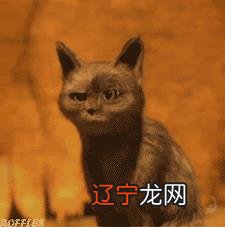 十二星座谁是老大排名-十二星座老大排行榜