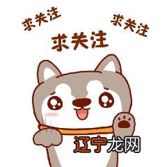 月亮星座怎么查询 日月星座查询器