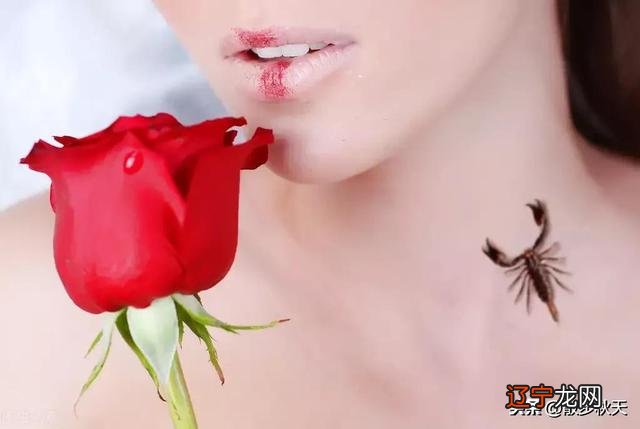 阳历三月十一什么星座 阳历十一月是什么星座