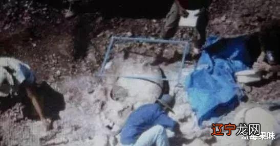 科学家称有证据:外星人曾在地球居住不止一次,且多次终结人类文明