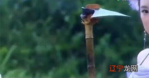 奔跑吧兄弟杜江老婆 杜江老婆