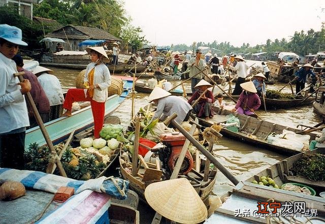 湄公河三角洲地区原来不是越南的,后来是如何进入越南版图的呢?