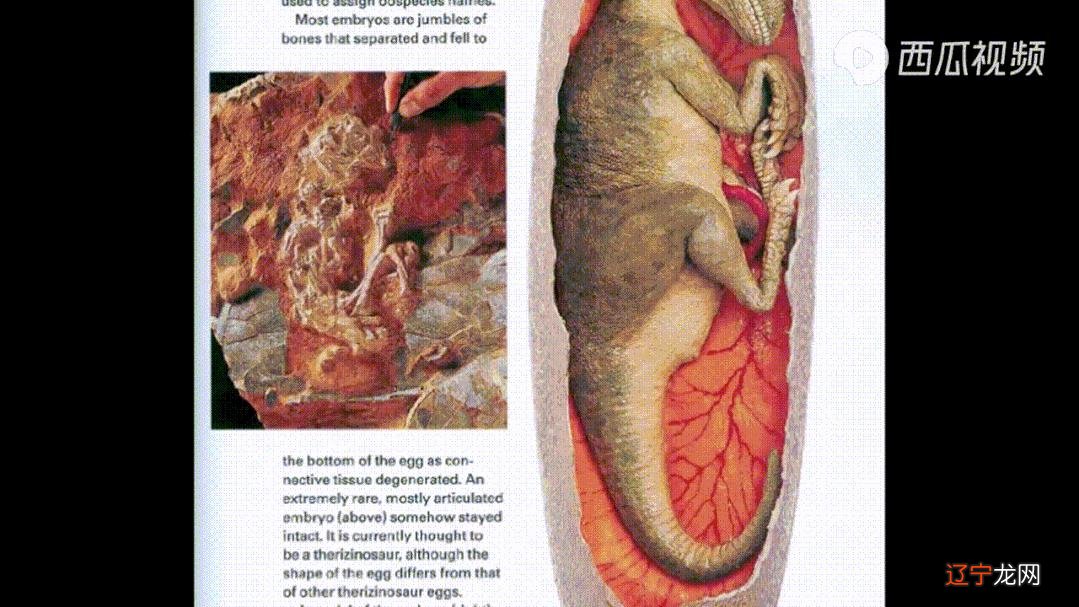 农历12月18日是什么星座-1996年农历12月18日是什么星座