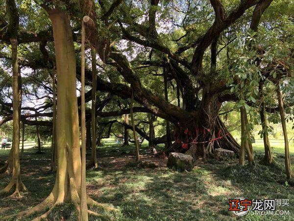 7 7情人节-77情人节送啥好