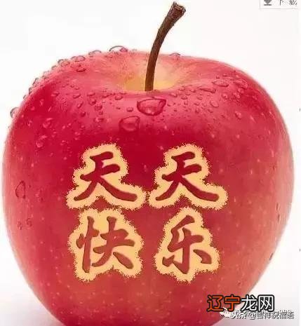 平安夜送橙子-平安夜送橙子的祝福语