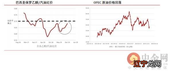 2020生肖号码波色表图-2020生肖号码波色表图9期