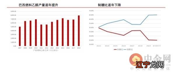 2020生肖号码波色表图-2020生肖号码波色表图9期