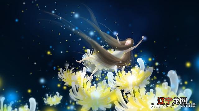 双子座流星雨高峰期 双鱼座流星雨爆发