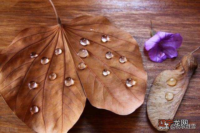 立秋祝福语2020立秋诗句 立秋下雨2020立秋诗句