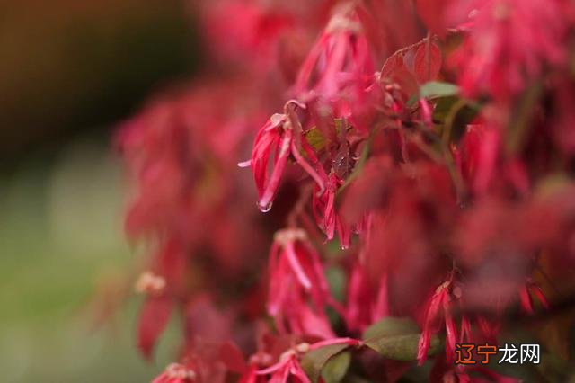 2020年星象吓人-2020星象预言